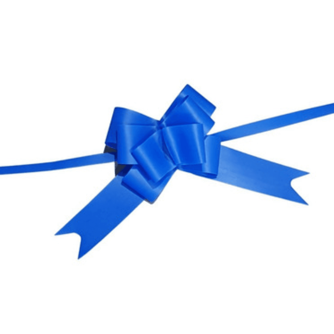 Large Bow Blue Frente