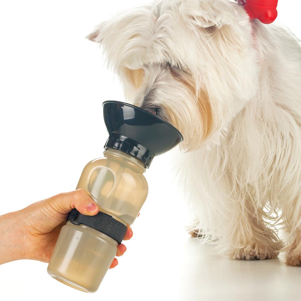 Botilito para mascotas 580ml Negro miniatura 4