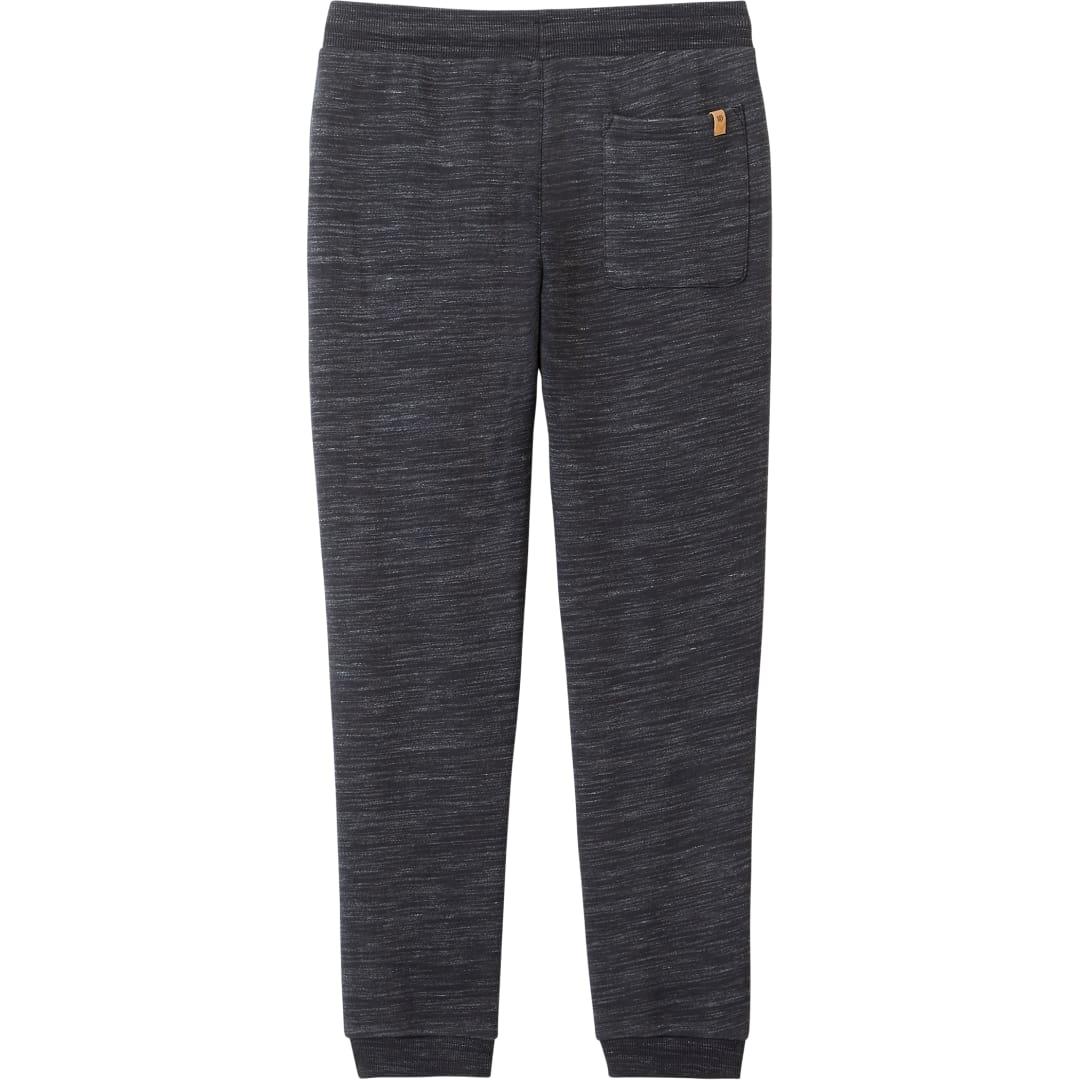 Tentree atlas sweatpant - mens Grey miniatura 13