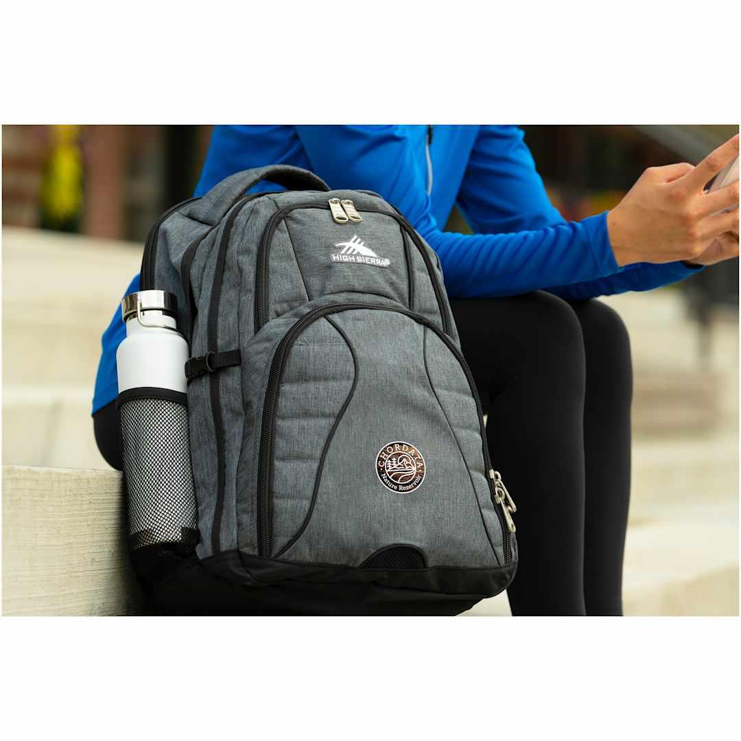 High sierra swerve 17 computer backpack Black miniatura 14